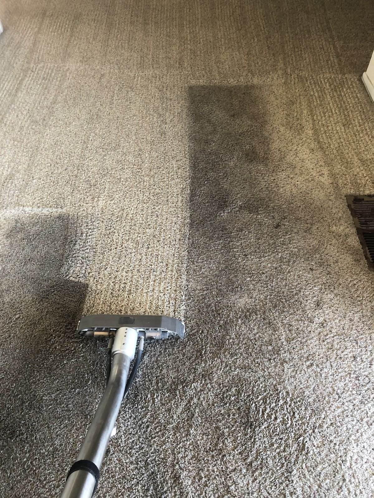 Deep carpet cleaning service for residential homes